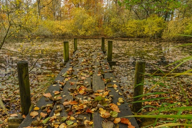 Fall at the lake